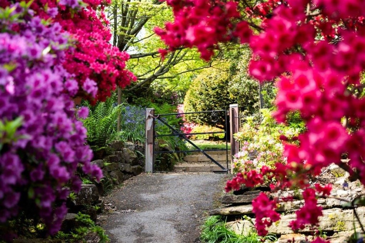 Spring garden path