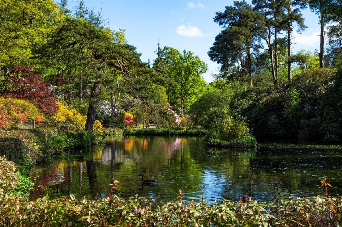 Spring by the lakes