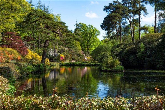 Spring by the lakes