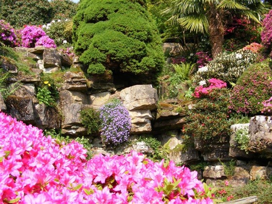 Spring time int he Rock Garden