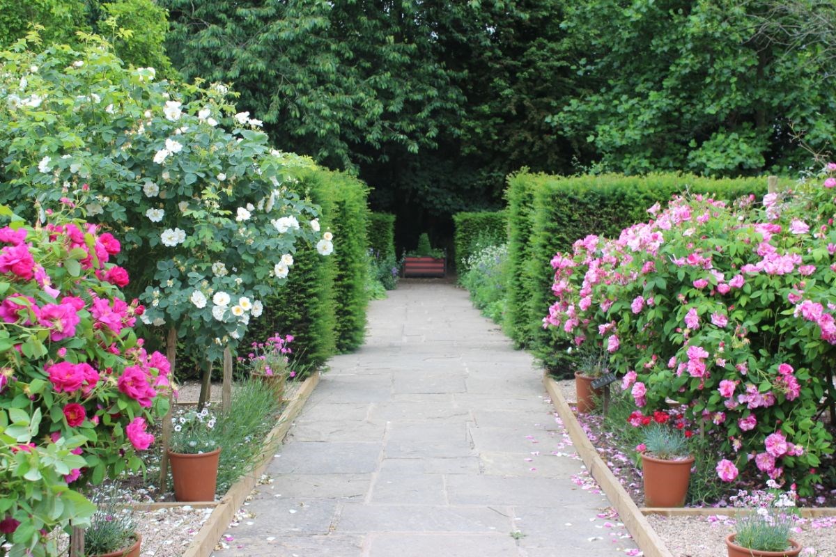 1620s House and Garden credited to Leicestershire County Council