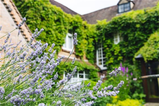 Old Rectory House Wedding