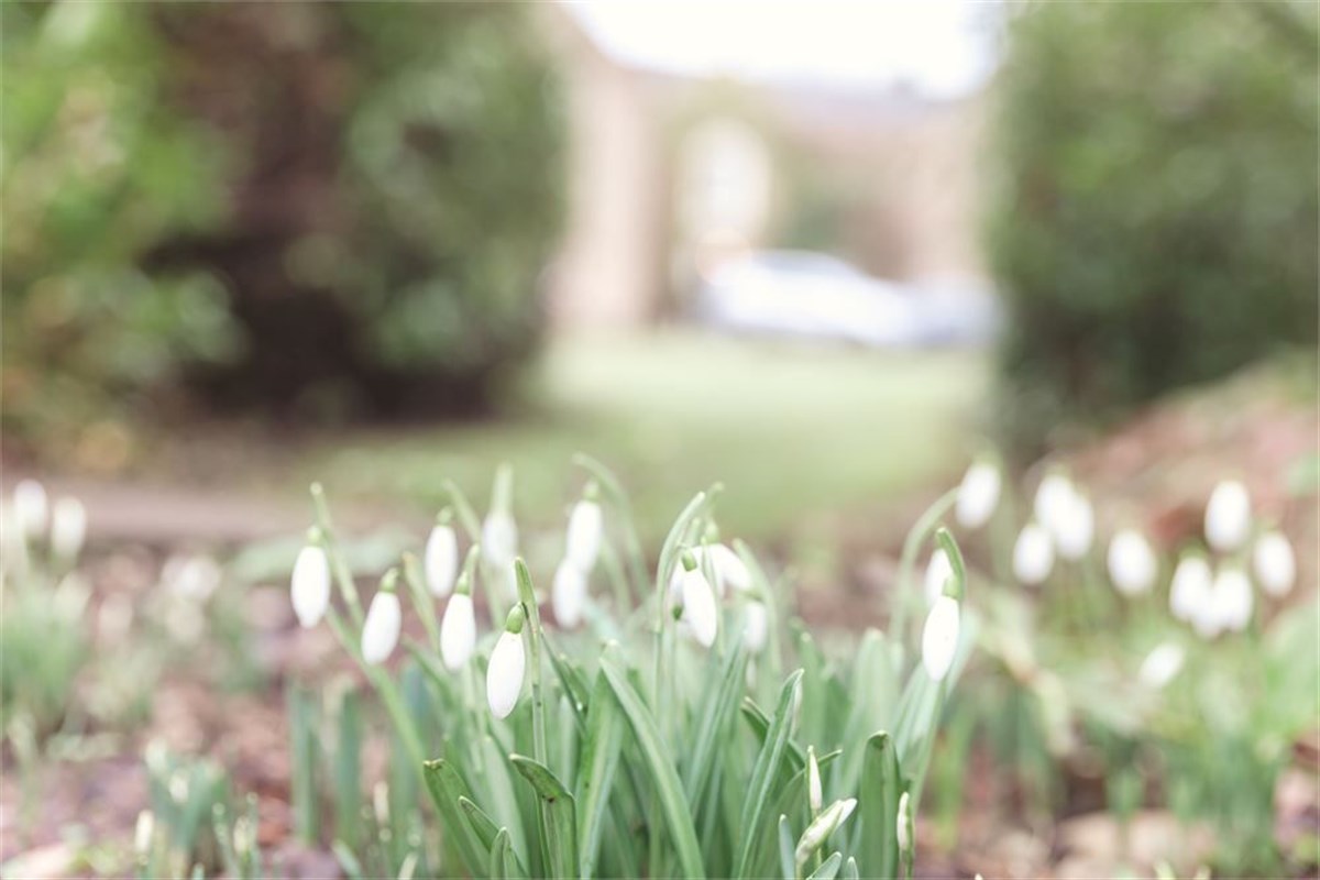Old Rectory House Wedding