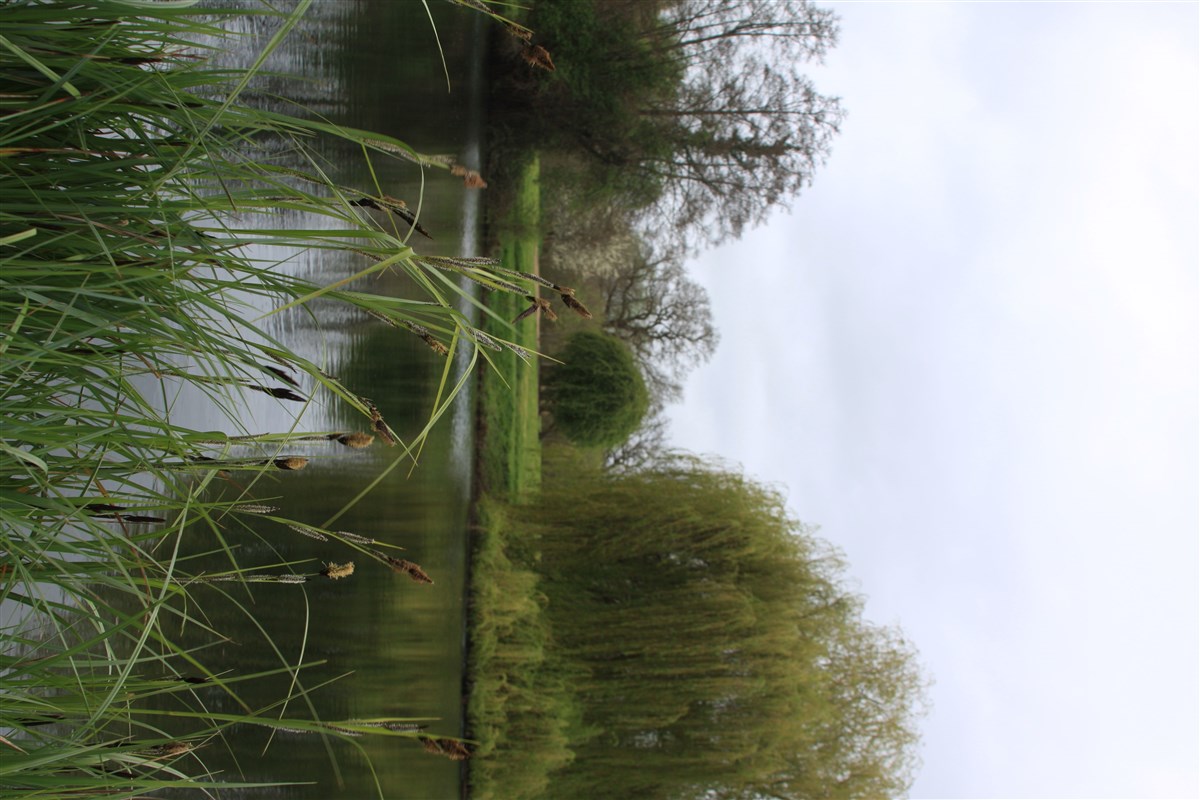 Lake view
