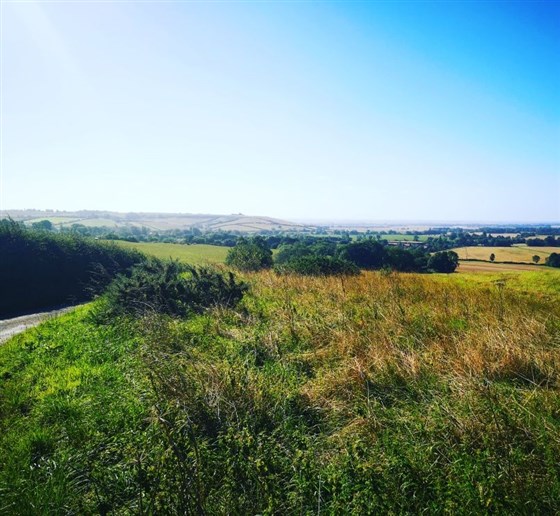 Holly Cottage B&B, Hagworthingham, Lincolnshire
