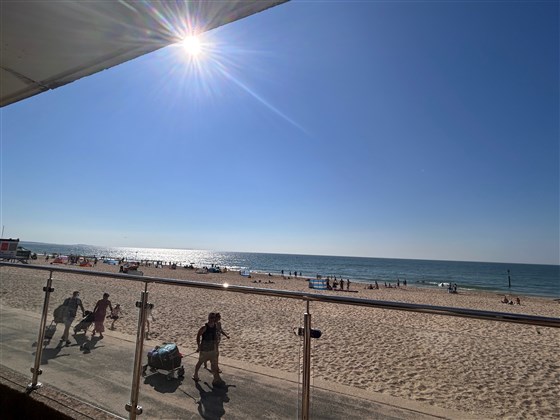 VIEW LEFT FROM THE TERRACE