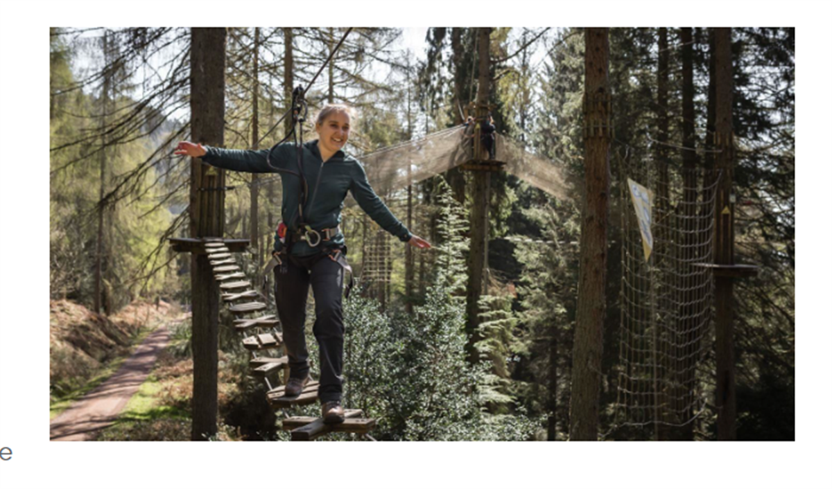 Go Ape