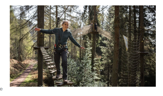 Go Ape