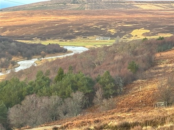 View from the hill