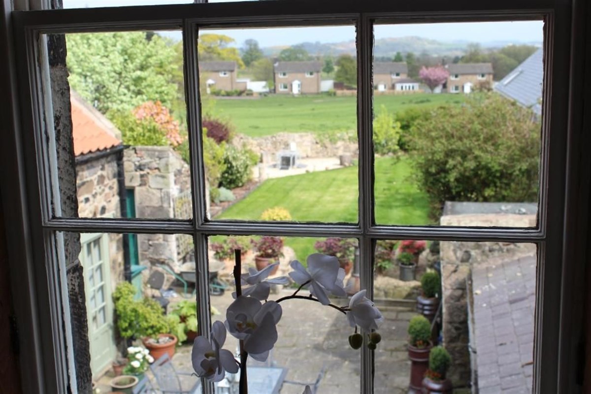 View From Green Room Window
