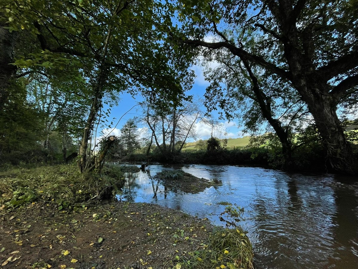 Sunny day
