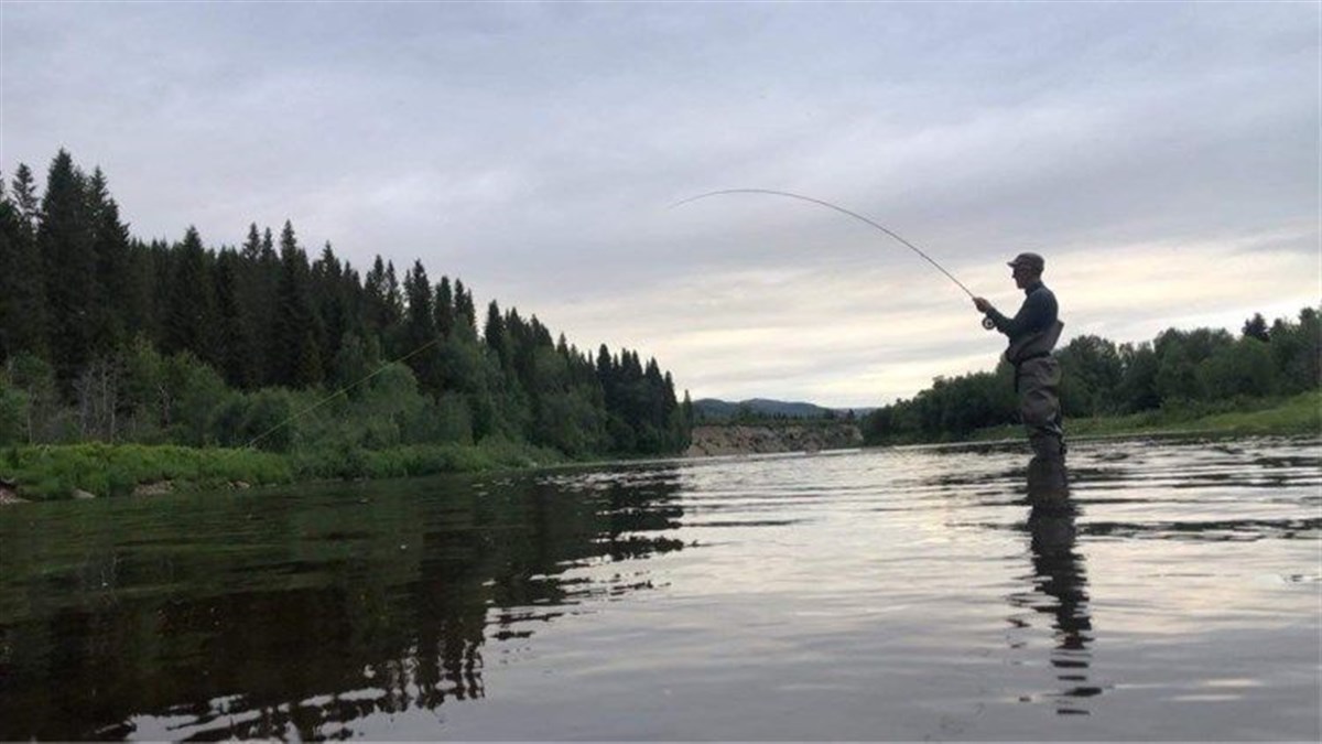 Time to reel in!