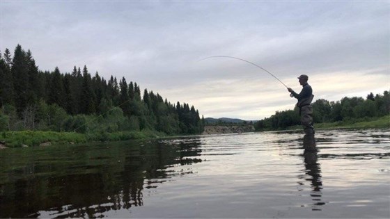Time to reel in!