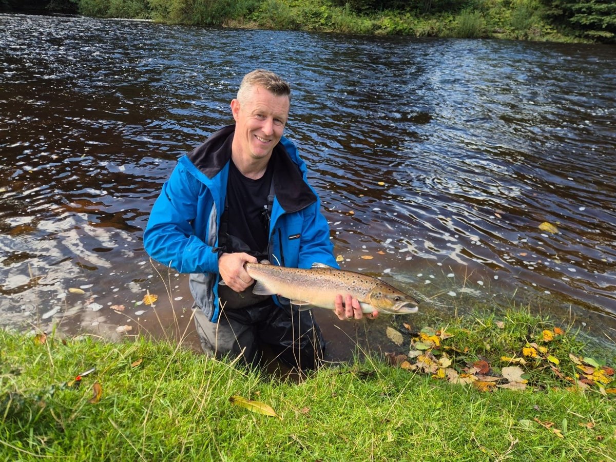 2025 Autumn salmon
