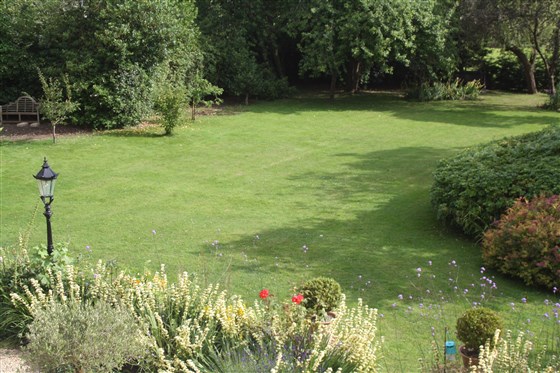Cedar - Garden View