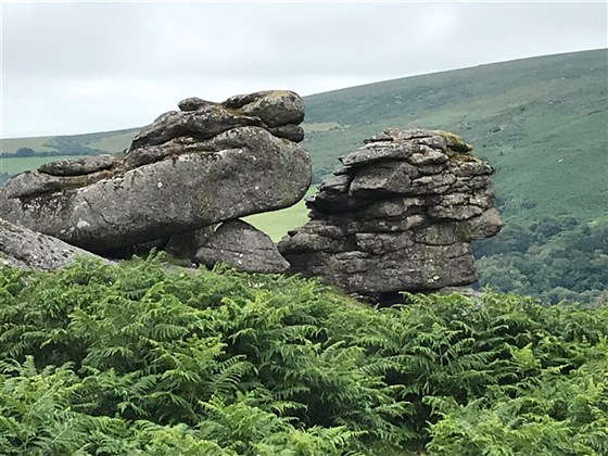 Dartmoor 
