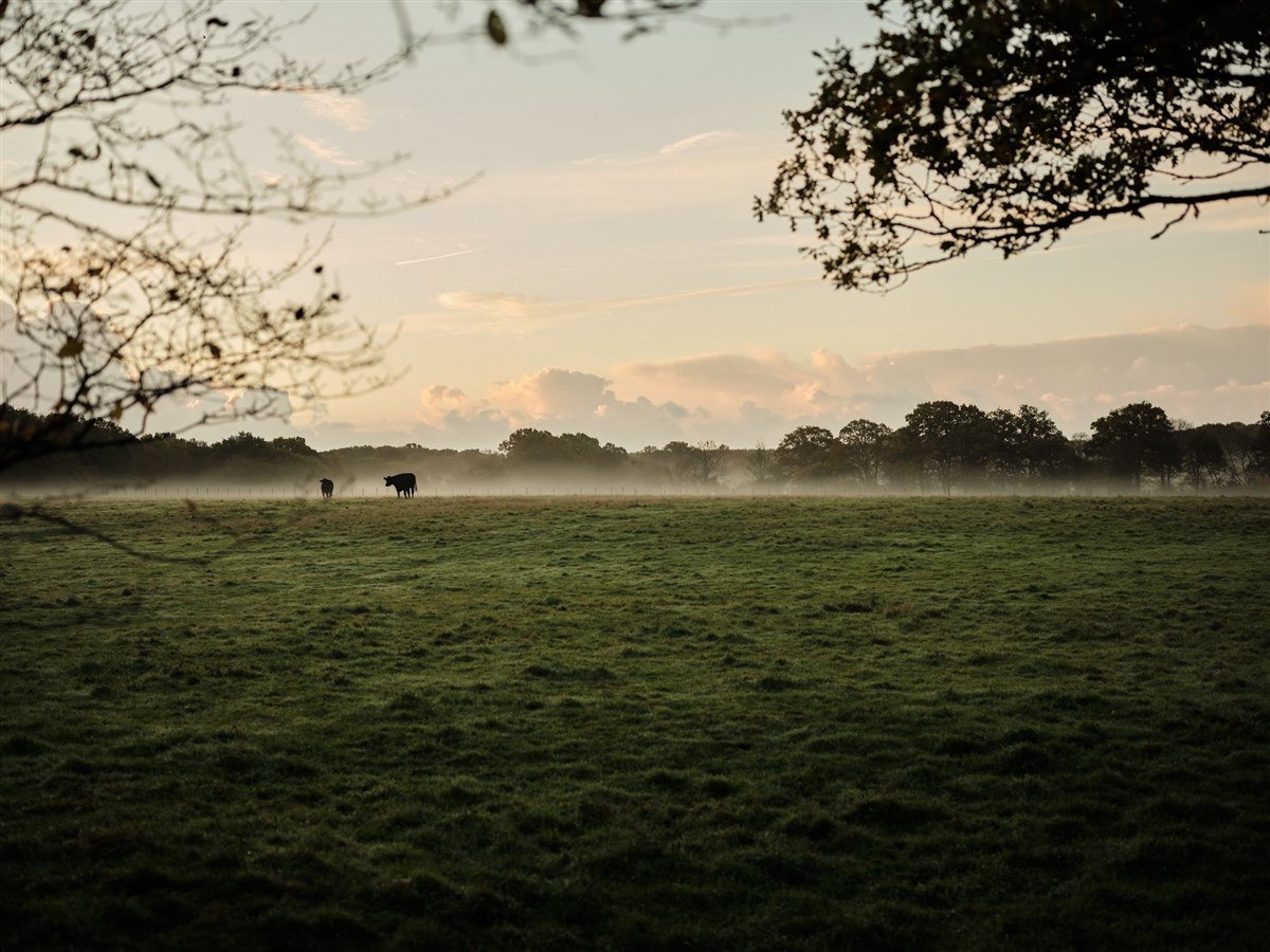 Farm grounds 