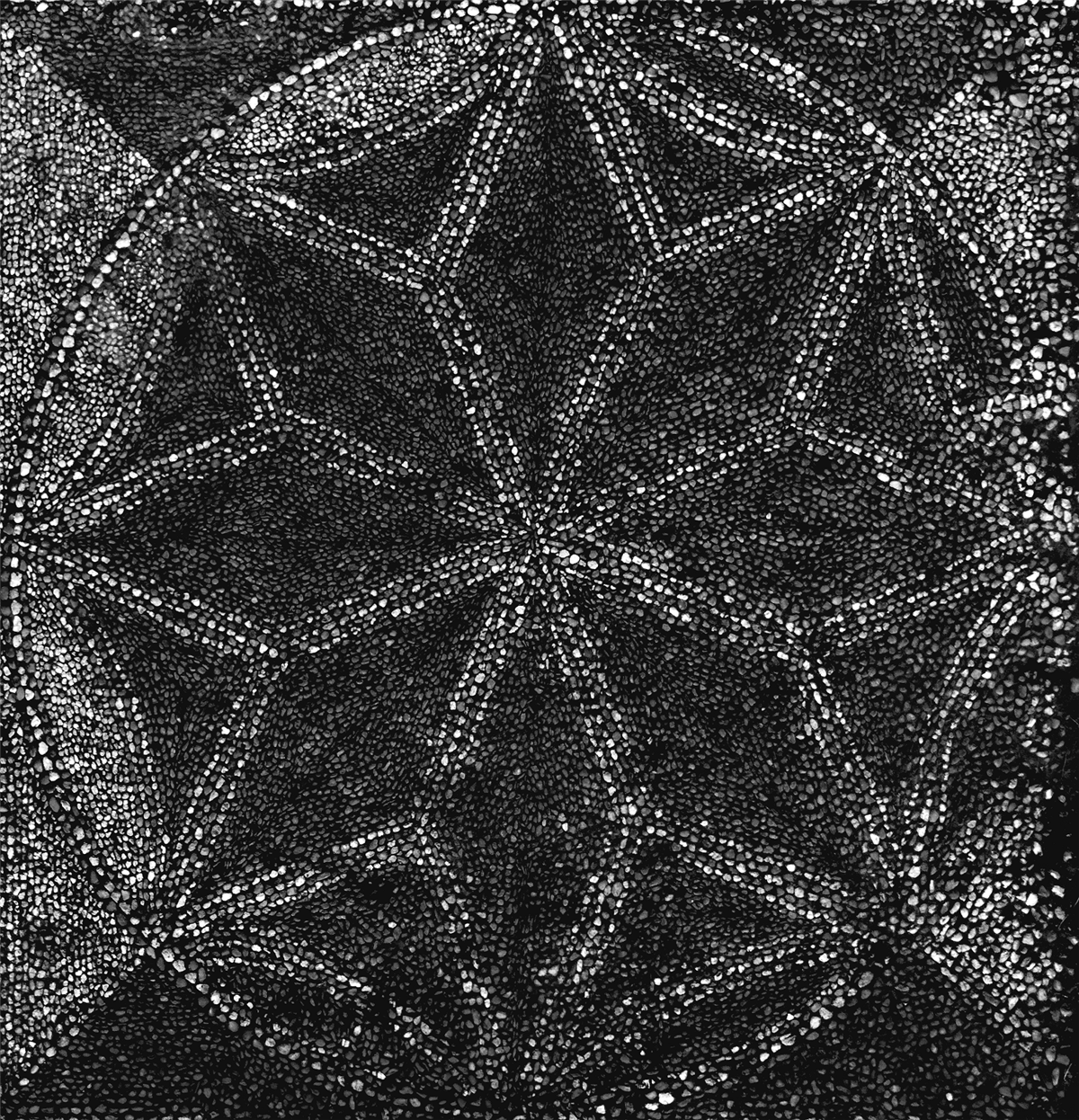 The Famous Dancing Pavement at Soulton Hall