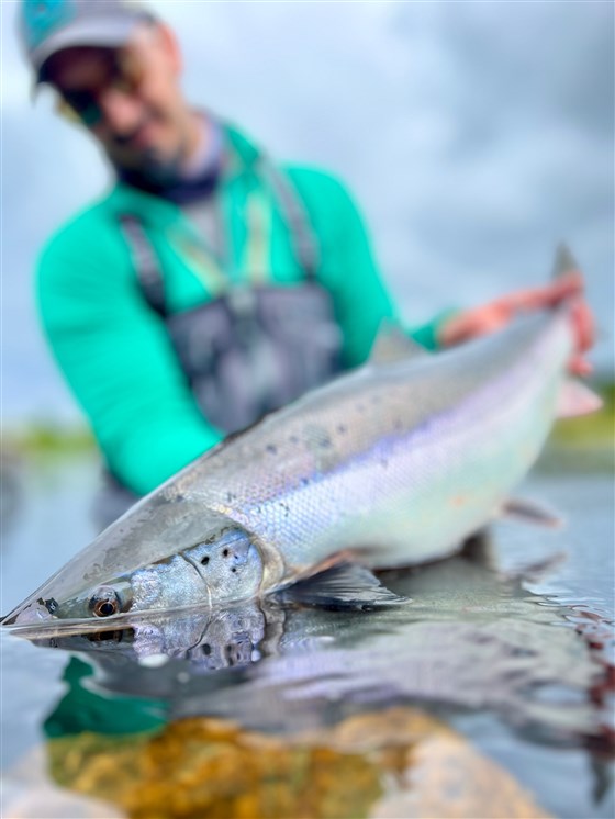 Speyside silver 