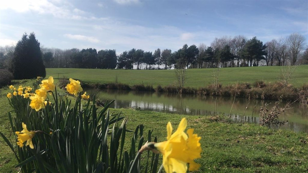 Terrain de golf