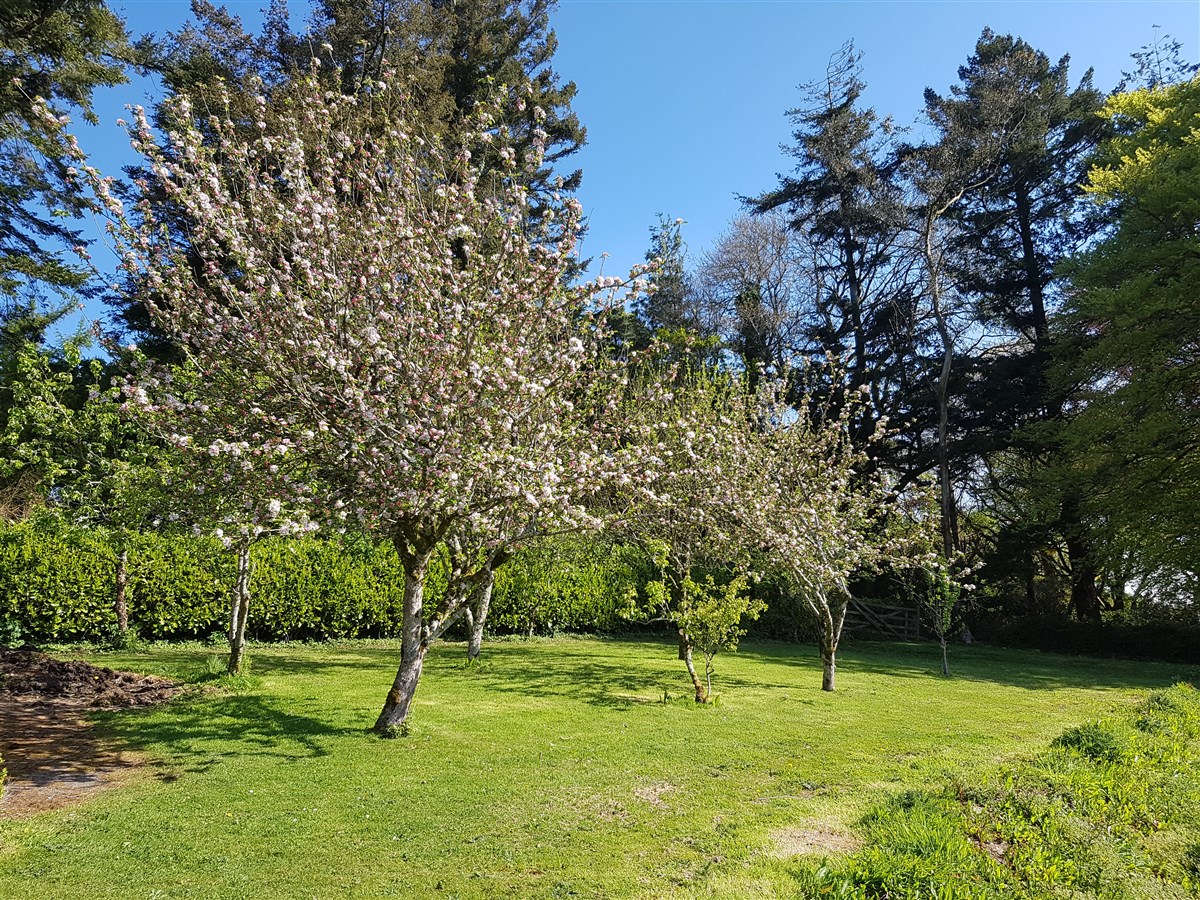 Jardins