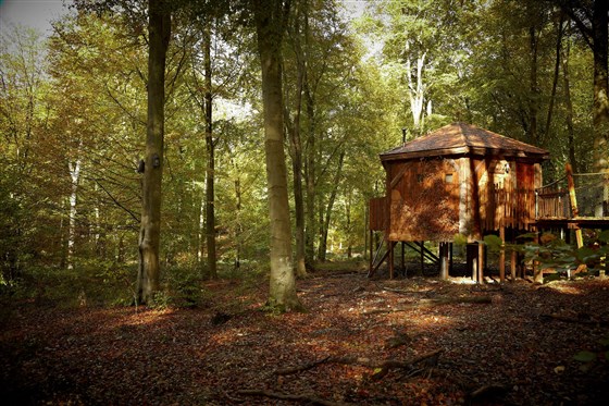 Treehouse Breaks at Forest Holidays, Forest of Dean