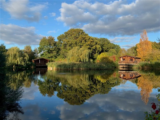 Across the lake