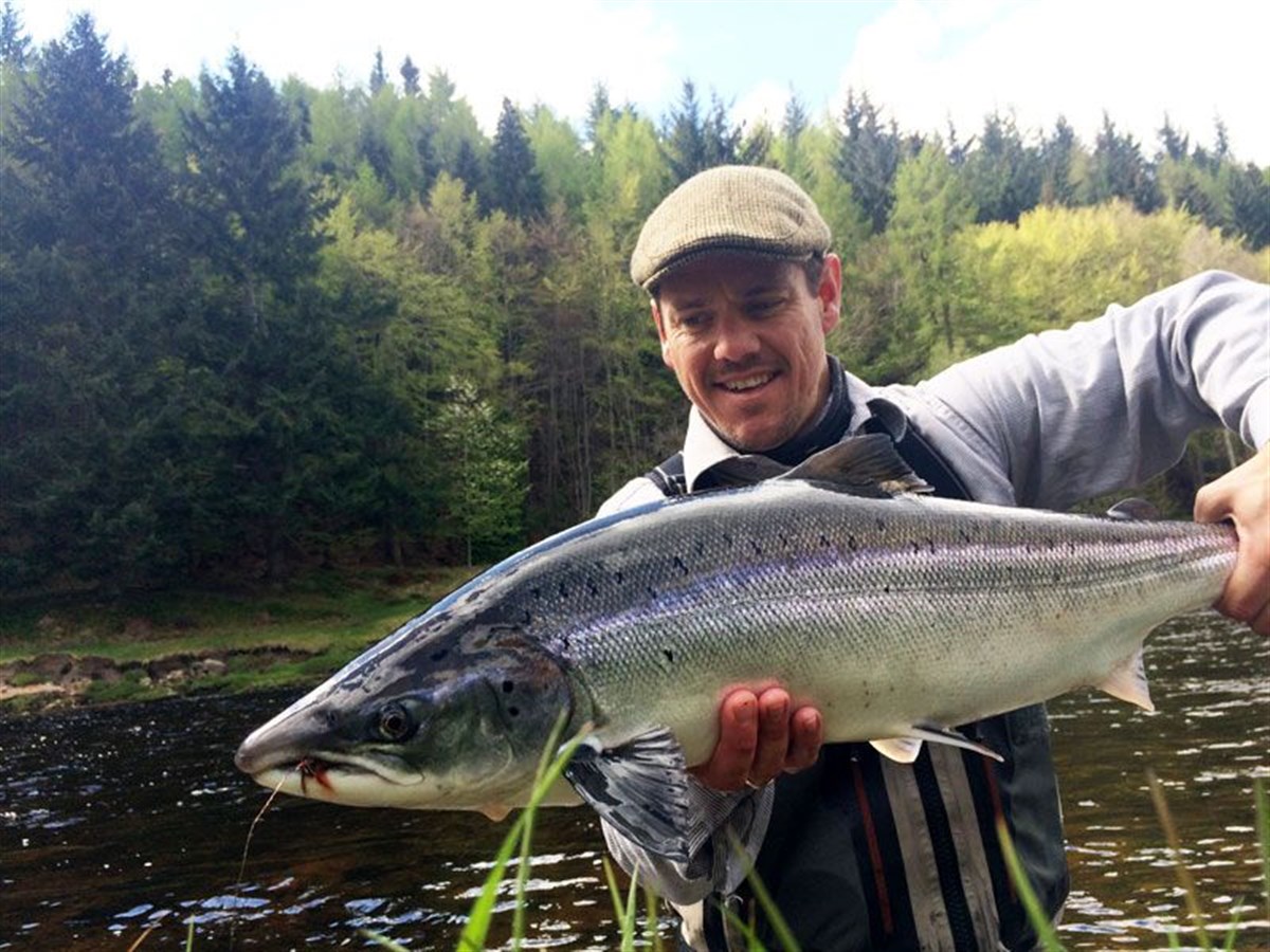 Lovely spring fish in Big Griggle