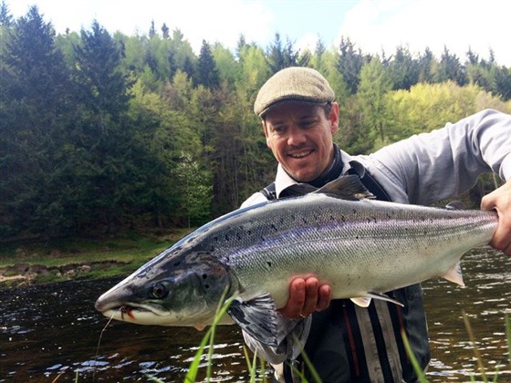 Lovely spring fish in Big Griggle