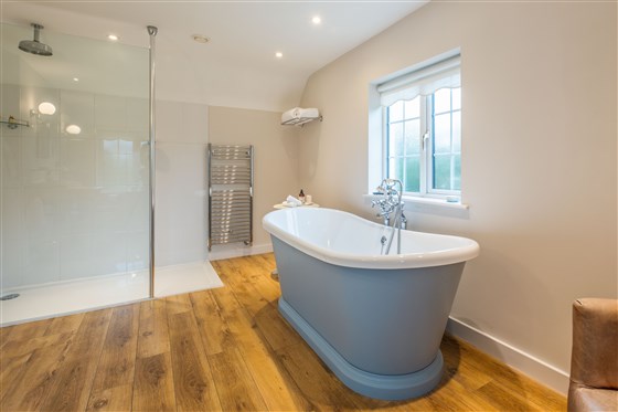 Surely the best en-suite in Sussex