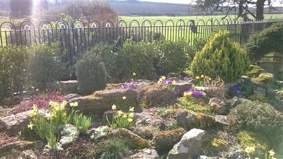 Il giardino roccioso in giardino
