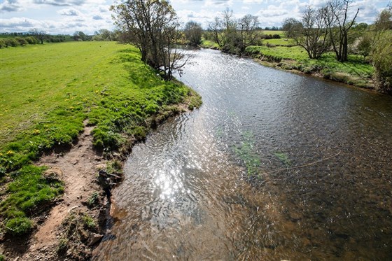 The Kings Arms beat on the River Eden