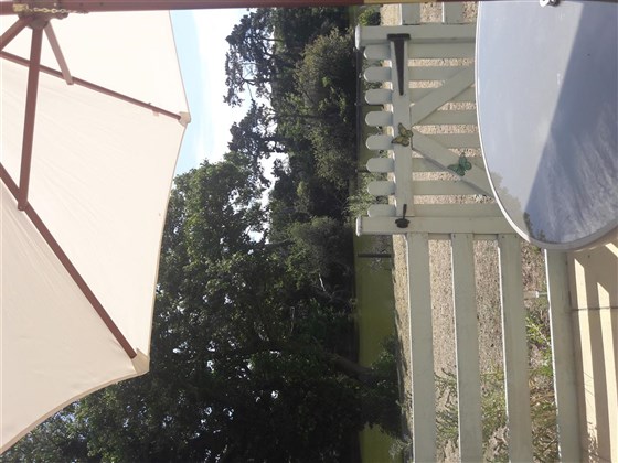 Rear patio overlooking lake