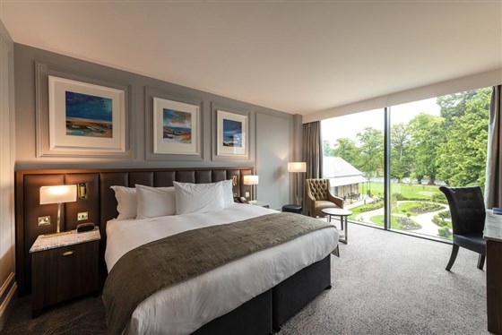 Laurel King Room