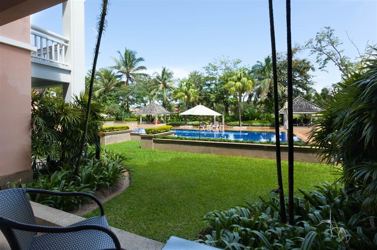 ALLAMANDA LAGUNA