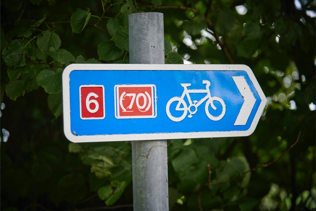 Trae tu bicicleta contigo. Hay muchas atracciones alrededor de los establos.