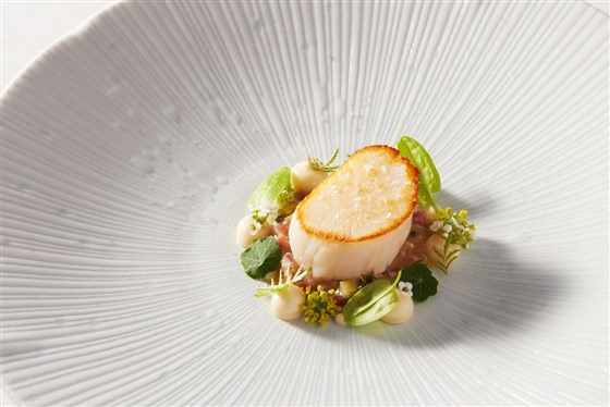 Scallop