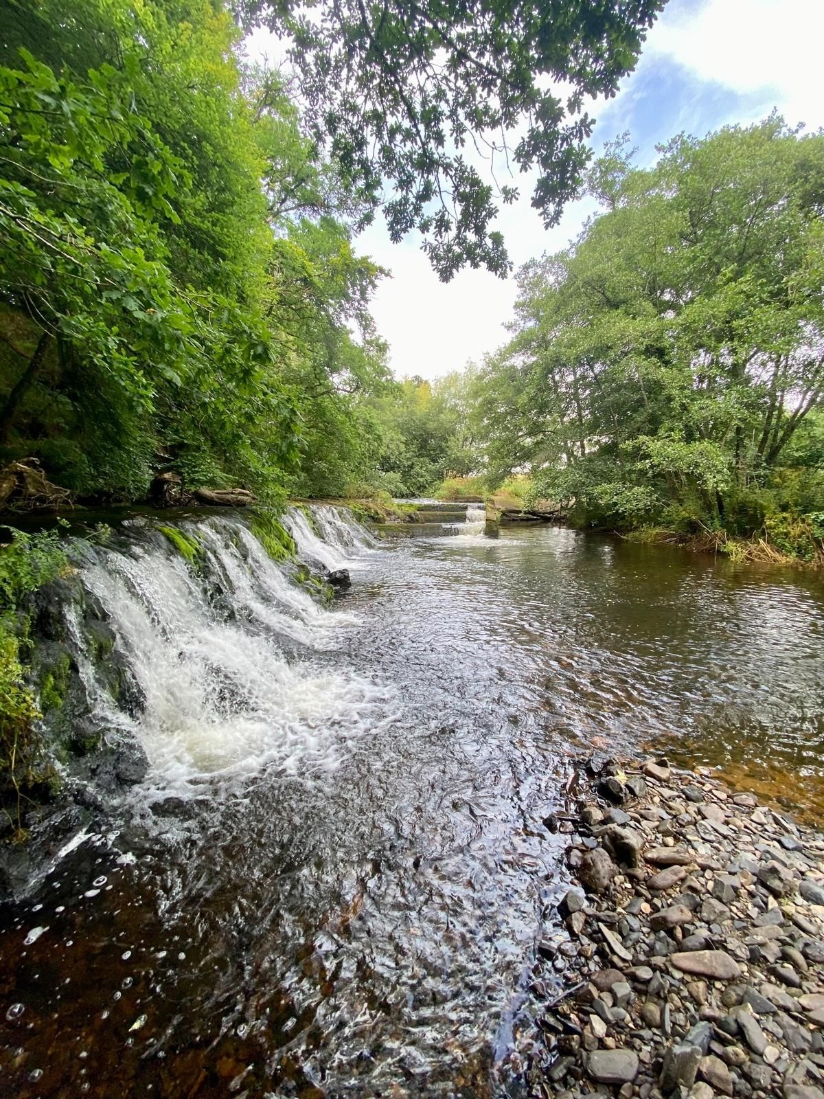 Tranquil River and Waterfall View