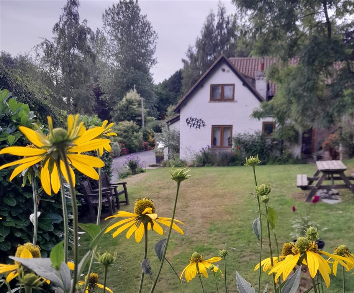 Holly Cottage B&B, Hagworthingham, Lincolnshire