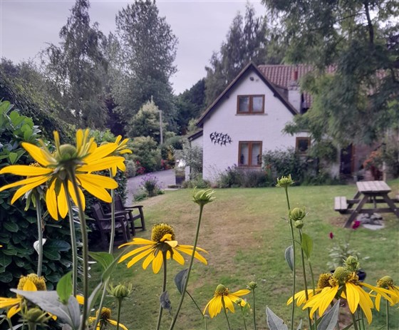 Holly Cottage B&B, Hagworthingham, Lincolnshire