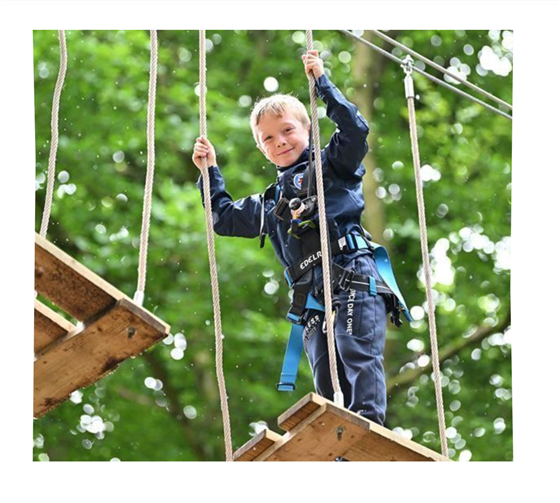 Go Ape
