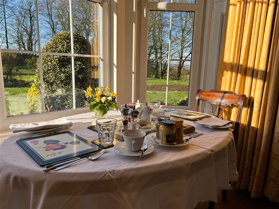 Breakfast in sunlight