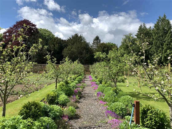 Kitchen Garden