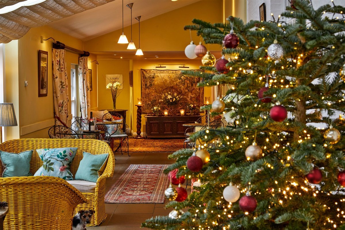 Christmas at The Spread Eagle Hotel
