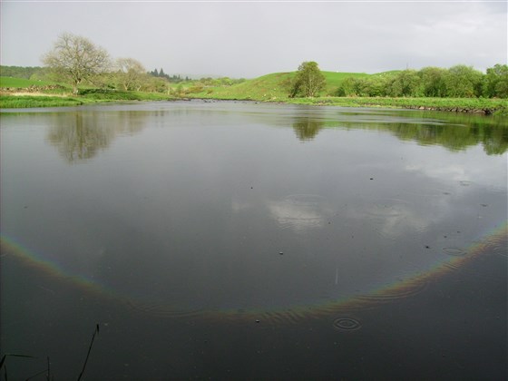 Linloskin Pool