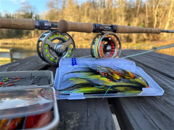 Springtime flies