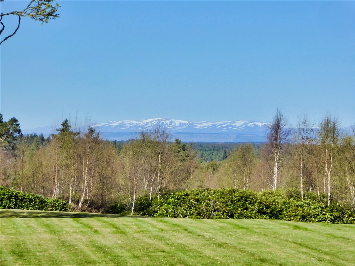 View from Rear of House