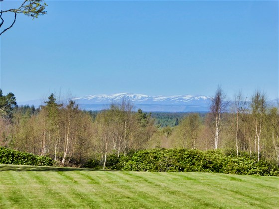 View from Rear of House