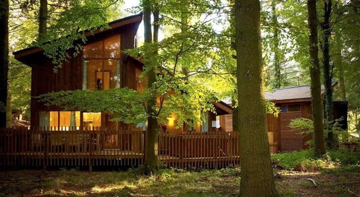 Go Ape