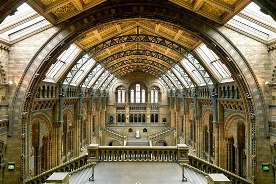 Natural History Museum, London